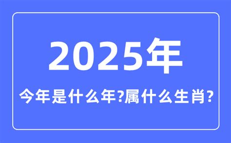 2010年是什么年|2010年